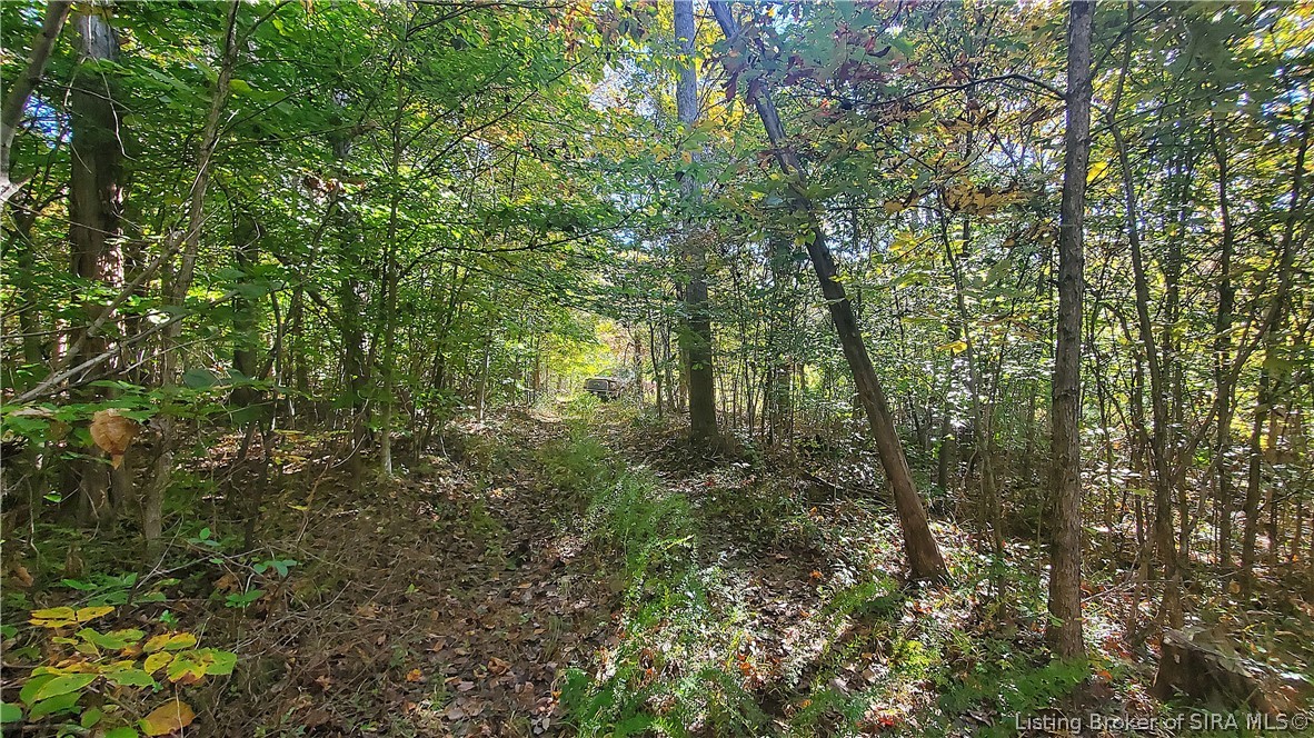 0 Rosewood Road Southeast Elizabeth, IN 47117 - Photo 7 of 24