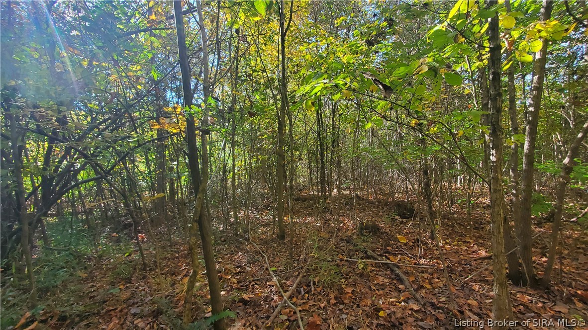 0 Rosewood Road Southeast Elizabeth, IN 47117 - Photo 8 of 24