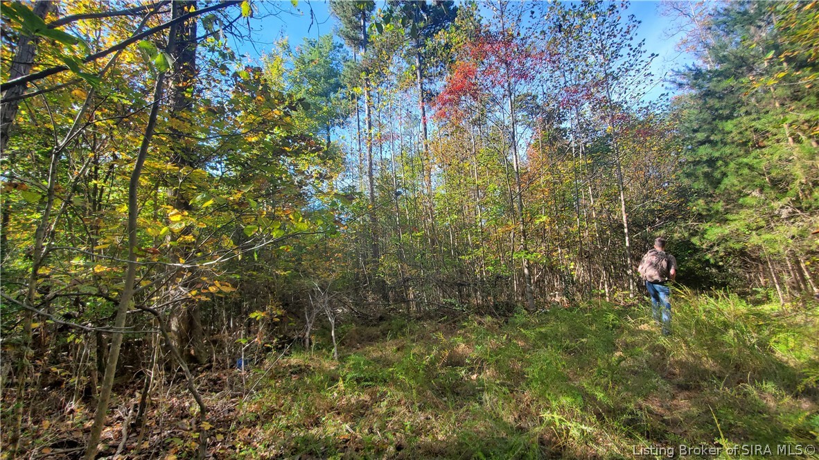 0 Rosewood Road Southeast Elizabeth, IN 47117 - Photo 9 of 24