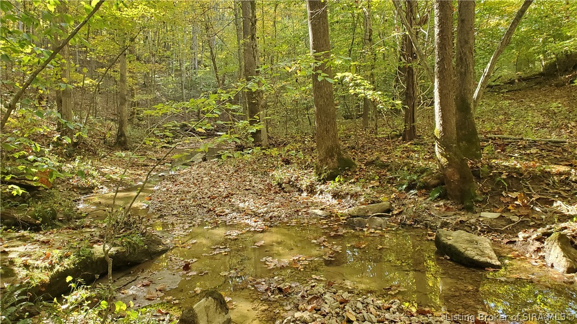 0 Rosewood Road Southeast Elizabeth, IN 47117 - Photo 10 of 24