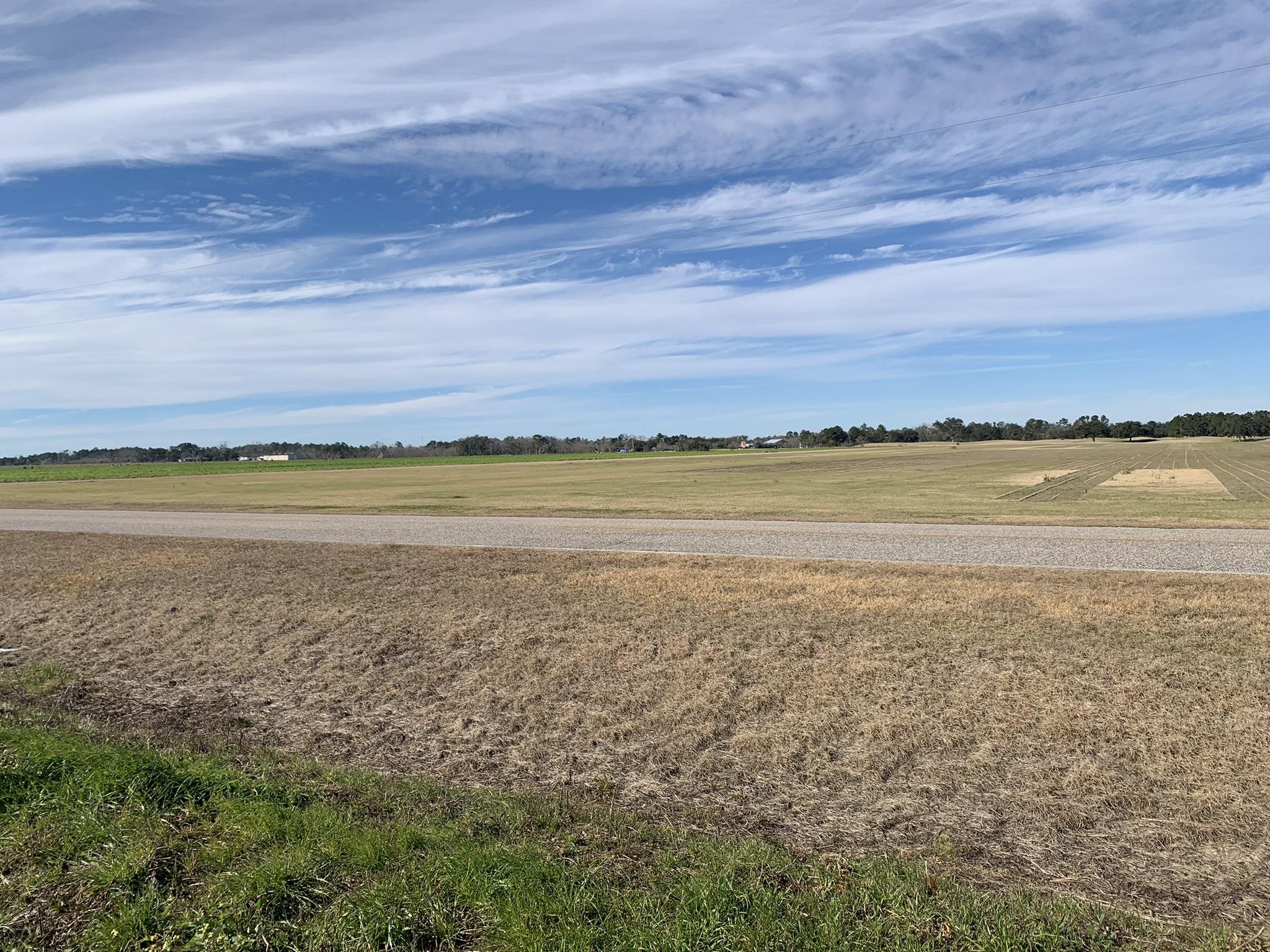 Lot 4 County Road 26 Elberta, AL 36530 - Photo 4 of 4