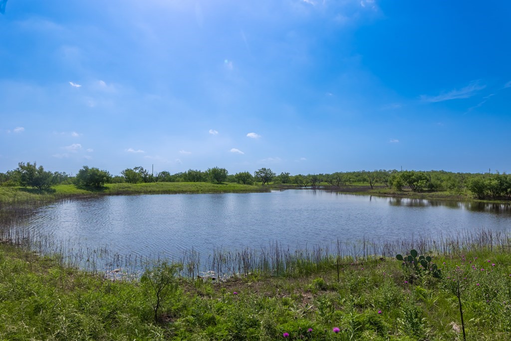 88291 Suaa Rd Well Lohn, TX 76852 - Photo 27 of 44 a view of a lake