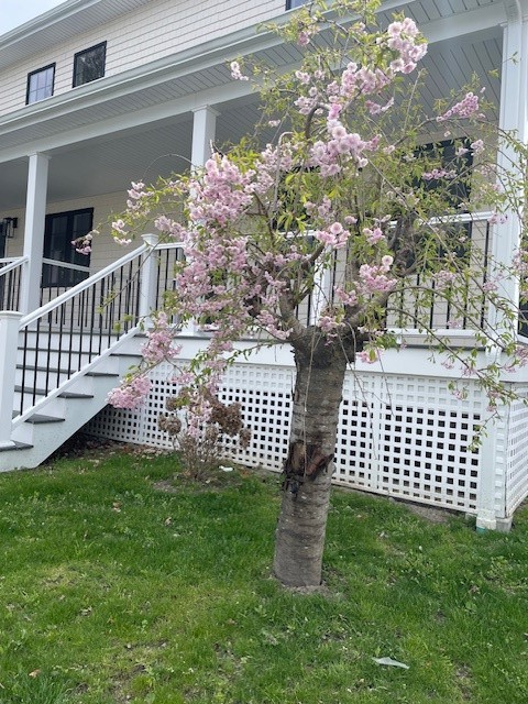 228 State Street, Unit 2 Bristol, RI 02809 - Photo 3 of 19 MAKE THIS YOUR NEXT HOME