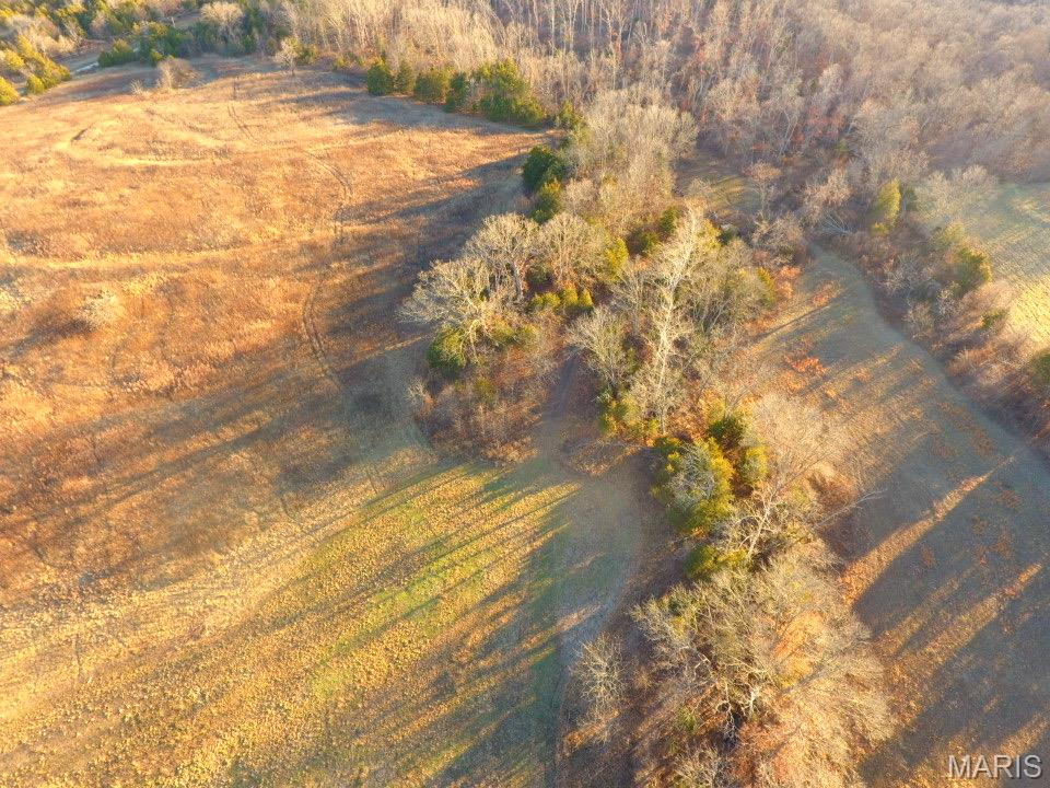 Tbd Van Horn Road Bland, MO 65014 - Photo 27 of 47