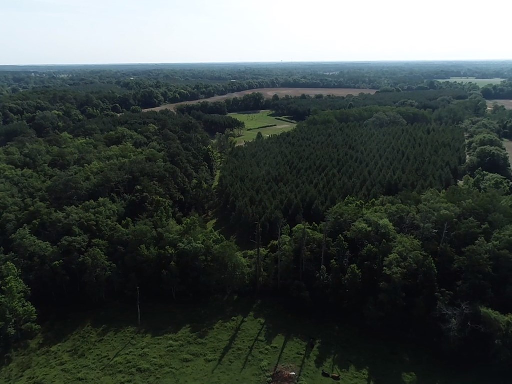 3876 D D Hodge Road Cottonwood, AL 36320 - Photo 42 of 48