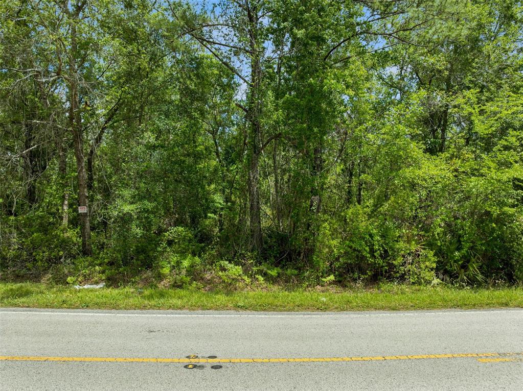 Culbreath Road Brooksville, FL 34602 - Photo 5 of 16 a view of a yard with a wooden fence