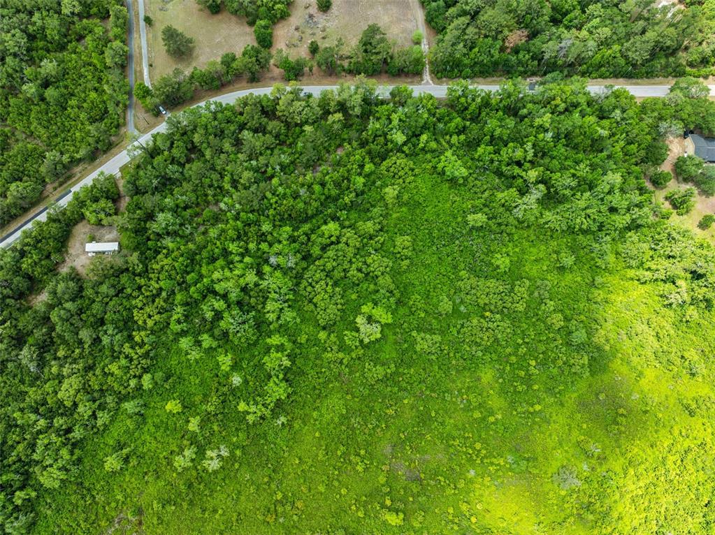 Culbreath Road Brooksville, FL 34602 - Photo 7 of 16 a view of a lush green space