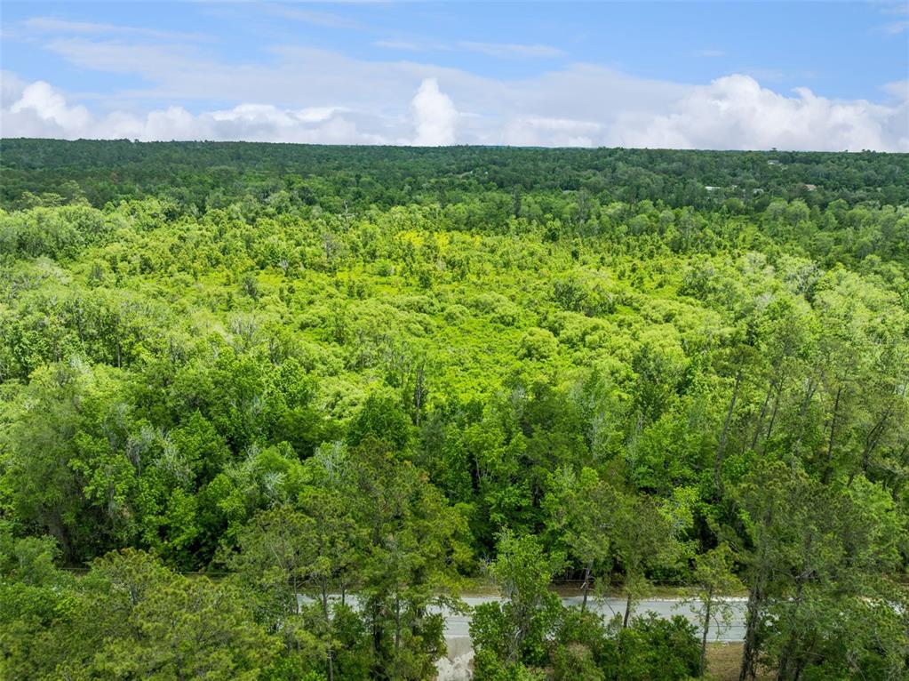 Culbreath Road Brooksville, FL 34602 - Photo 8 of 16 a view of a lush green space