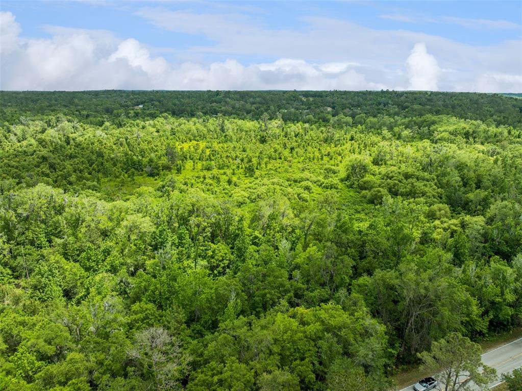 Culbreath Road Brooksville, FL 34602 - Photo 10 of 16 a view of a field