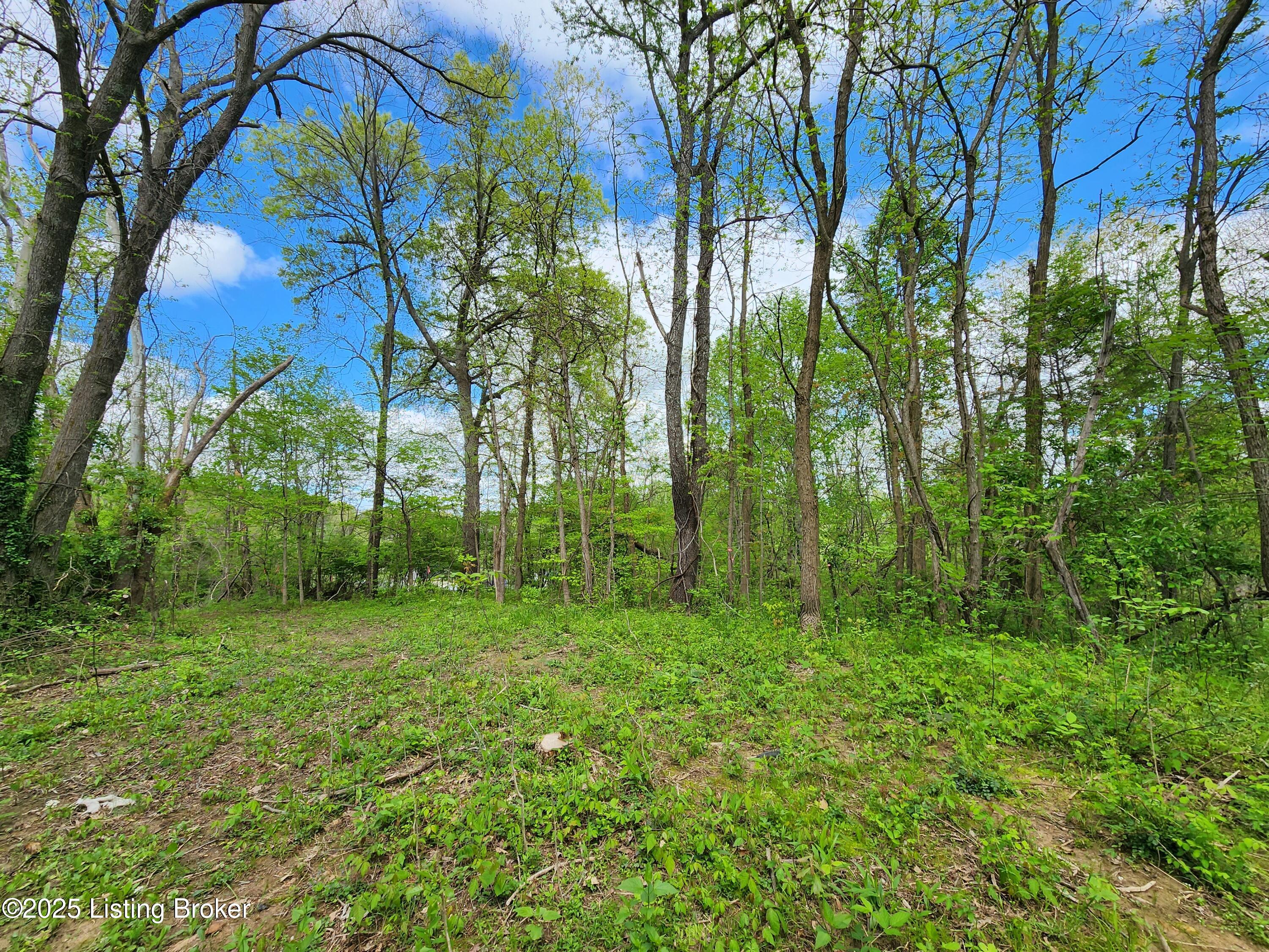 0 Rineyville-Big Springs Road Rineyville, KY 40162 - Photo 6 of 15 20250426_153935