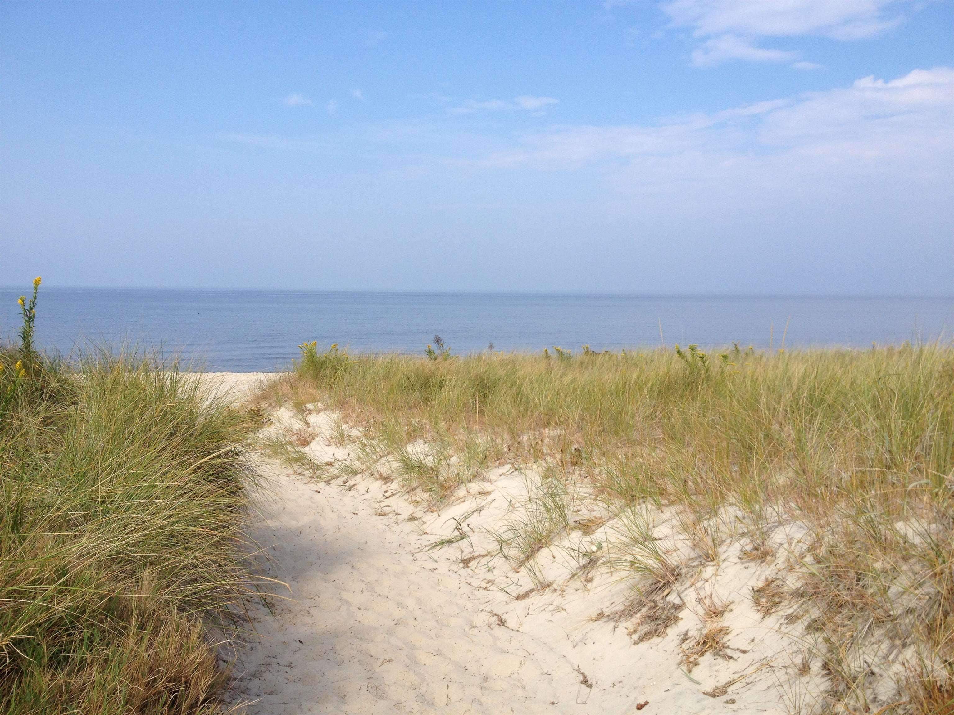 112 East Drumbed Road Villas, NJ 08251 - Photo 41 of 42