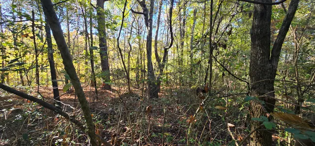 $12,500 | 27 Foster Boulevard, LaFayette, GA 30728