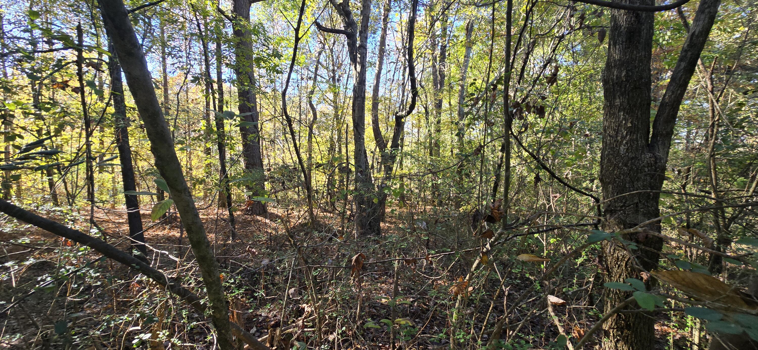 27 Foster Boulevard LaFayette, GA 30728 - Photo 11 of 14 20251104_143009