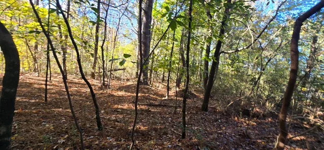 $12,500 | 27 Foster Boulevard, LaFayette, GA 30728