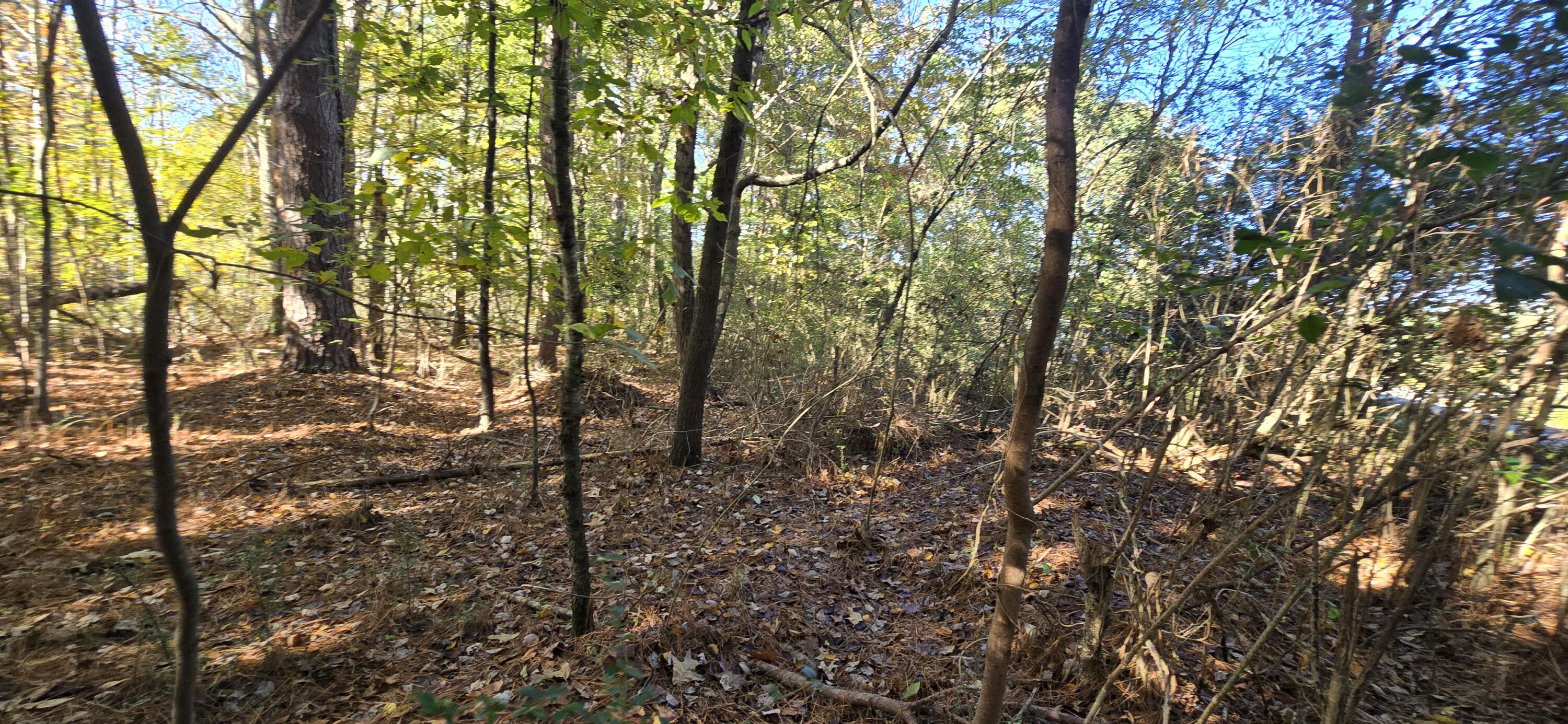 27 Foster Boulevard LaFayette, GA 30728 - Photo 13 of 14 20251104_143029