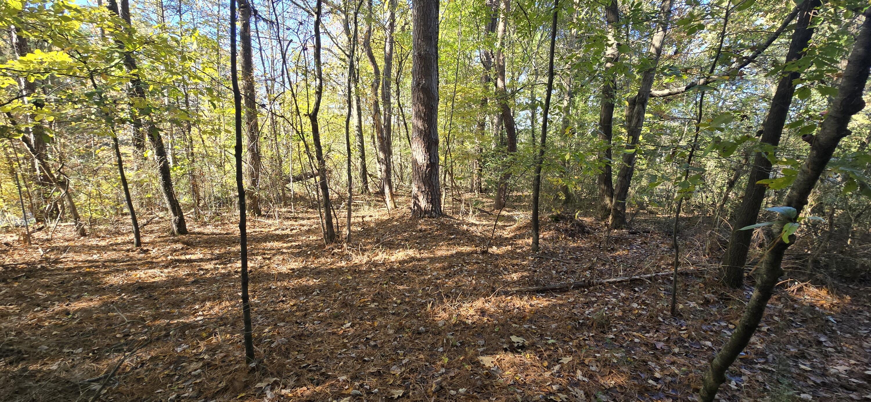 27 Foster Boulevard LaFayette, GA 30728 - Photo 2 of 14 20251104_142638