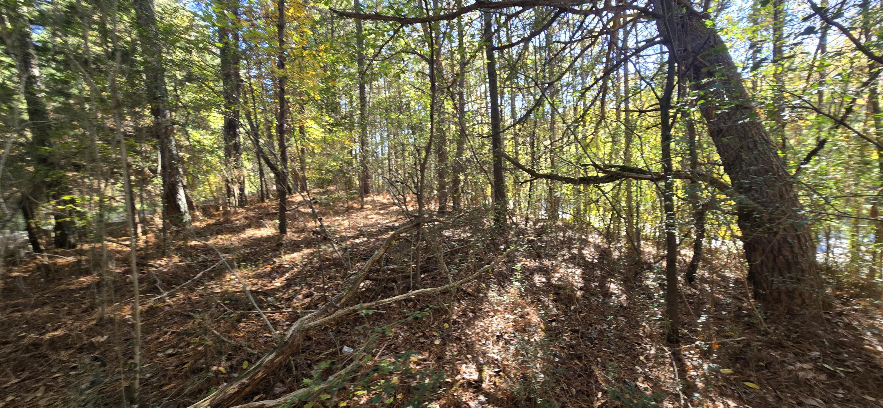 27 Foster Boulevard LaFayette, GA 30728 - Photo 3 of 14 20251104_142659