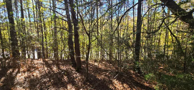 $12,500 | 27 Foster Boulevard, LaFayette, GA 30728