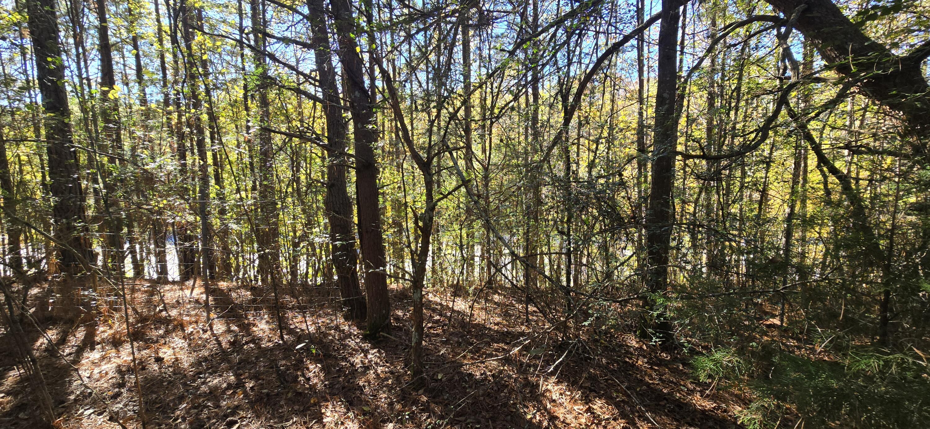 27 Foster Boulevard LaFayette, GA 30728 - Photo 4 of 14 20251104_142713