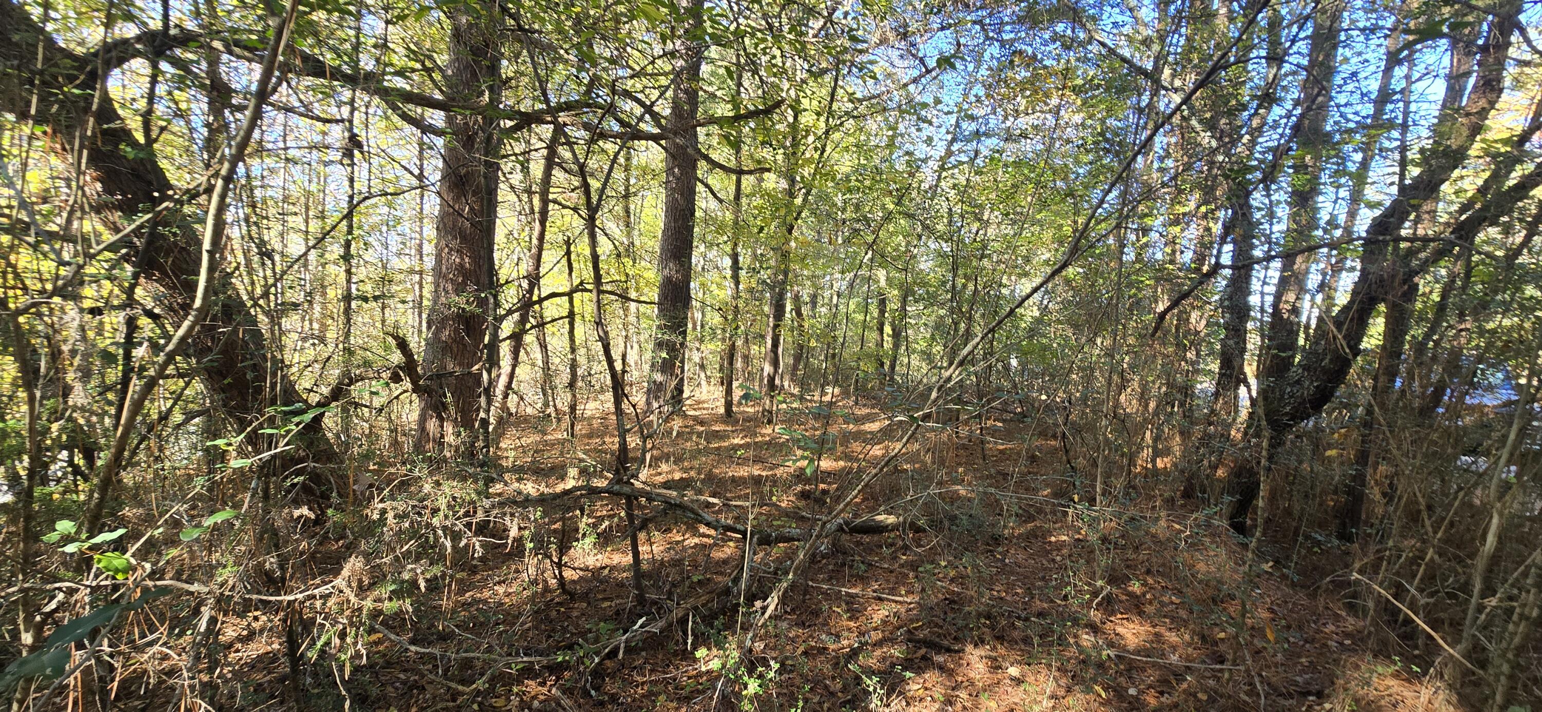 27 Foster Boulevard LaFayette, GA 30728 - Photo 5 of 14 20251104_142716