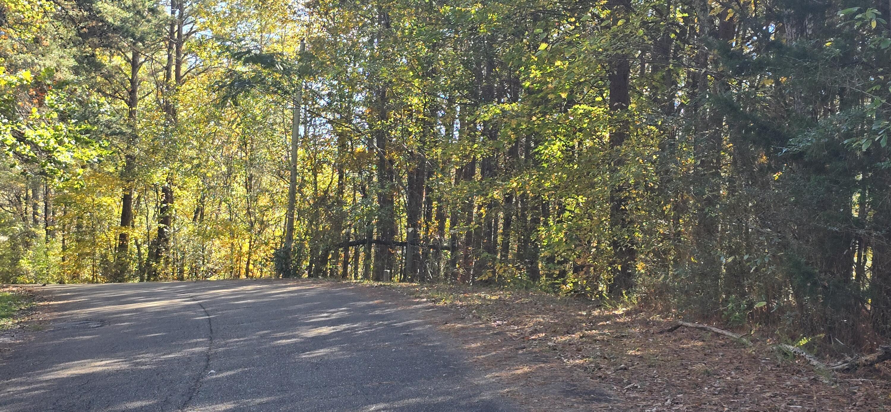 27 Foster Boulevard LaFayette, GA 30728 - Photo 6 of 14 20251104_142616