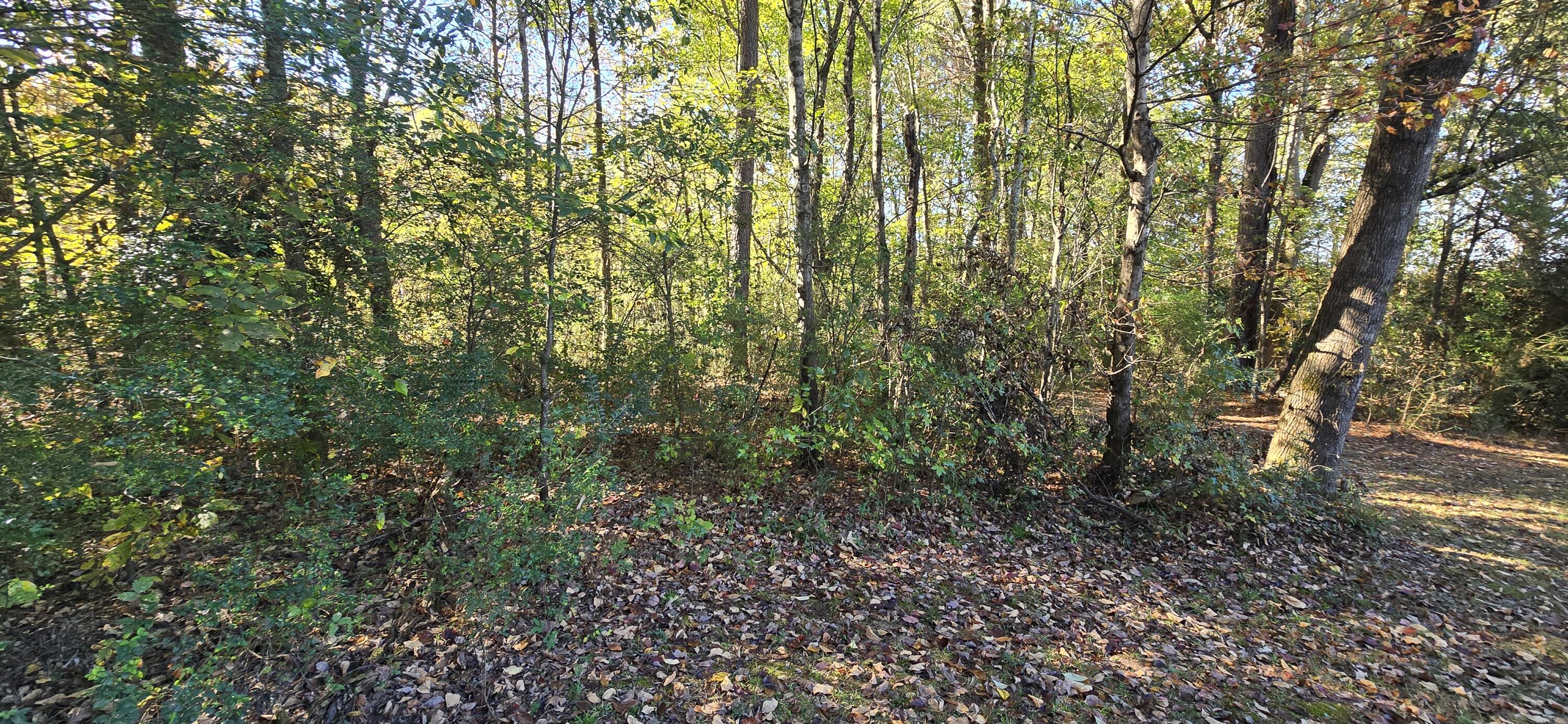 27 Foster Boulevard LaFayette, GA 30728 - Photo 7 of 14 20251104_142842