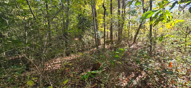 $12,500 | 27 Foster Boulevard, LaFayette, GA 30728