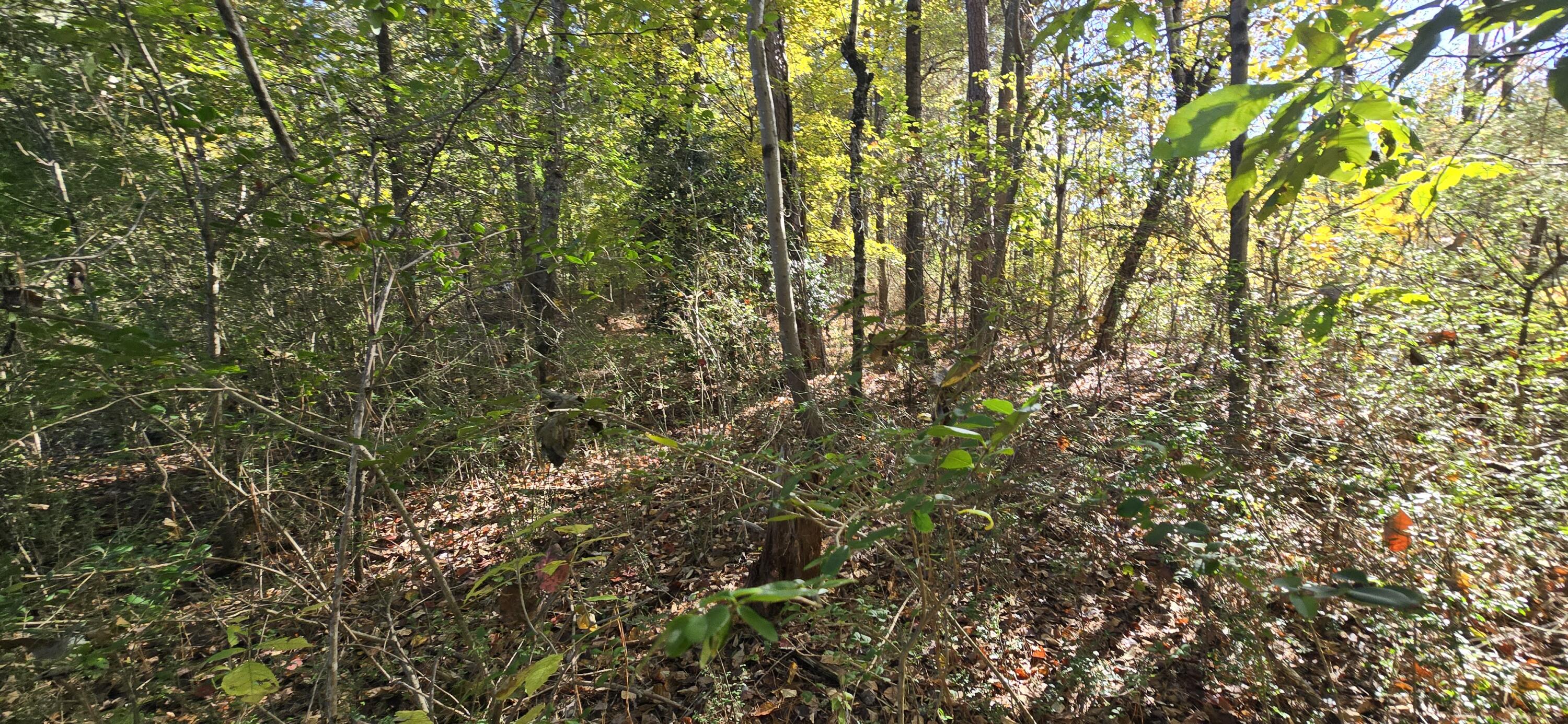 27 Foster Boulevard LaFayette, GA 30728 - Photo 8 of 14 20251104_142917