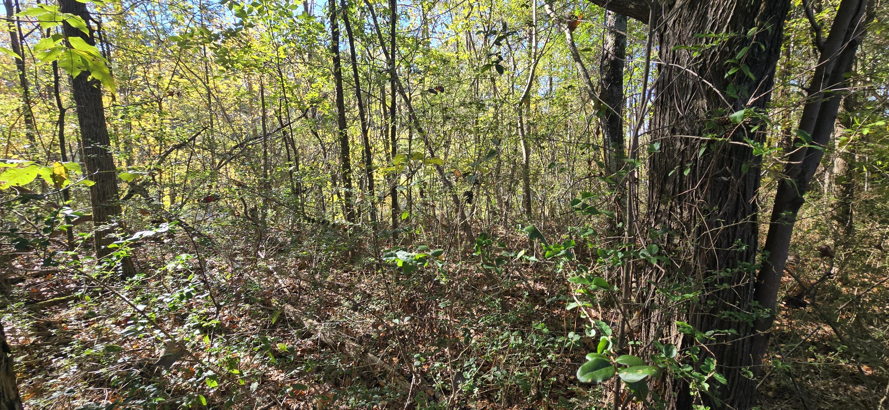 27 Foster Boulevard LaFayette, GA 30728 - Photo 9 of 14 20251104_142921