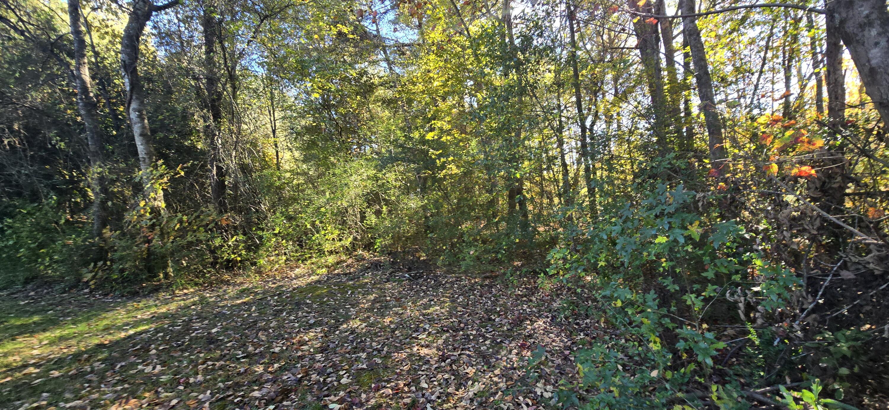 27 Foster Boulevard LaFayette, GA 30728 - Photo 10 of 14 20251104_142937