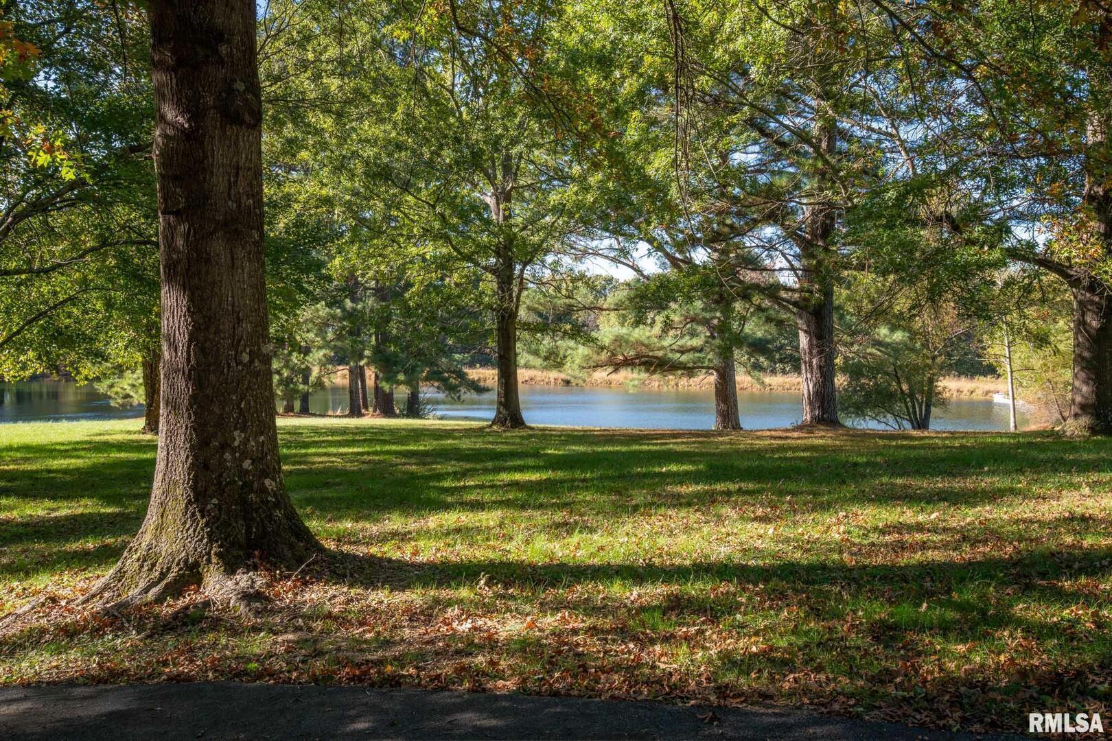 2145 Lick Creek Road Anna, IL 62906 - Photo 46 of 64 a view of a trees in a yard