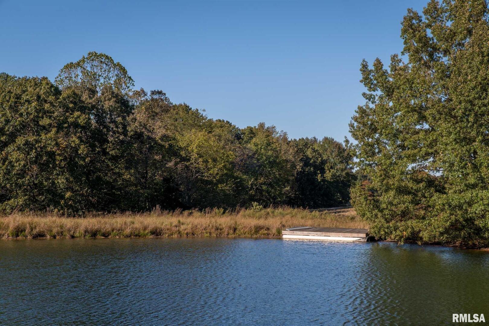 2145 Lick Creek Road Anna, IL 62906 - Photo 49 of 64 a view of a lake with a mountain in the background