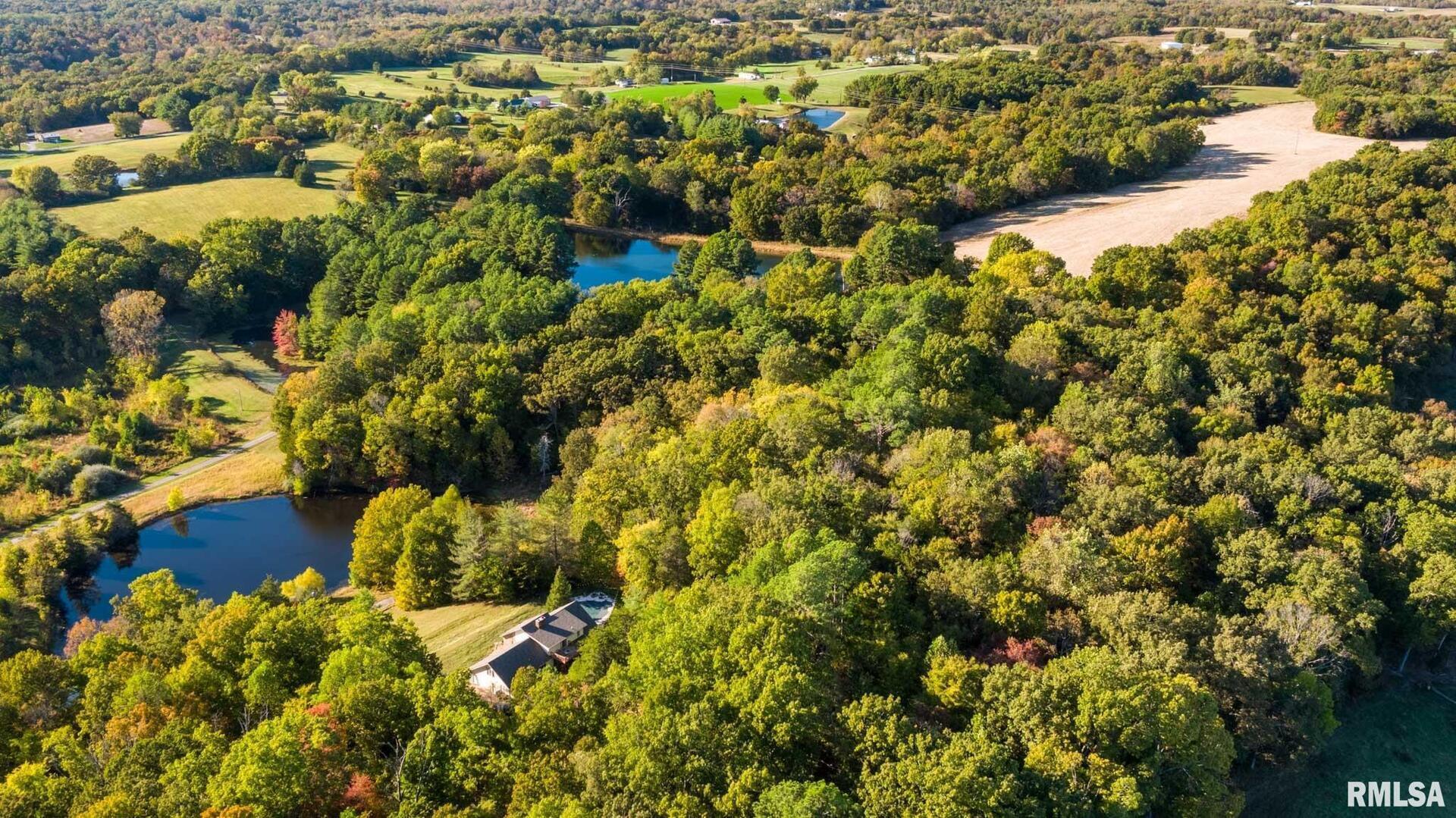 2145 Lick Creek Road Anna, IL 62906 - Photo 53 of 64 a view of a large yard with plants and large trees