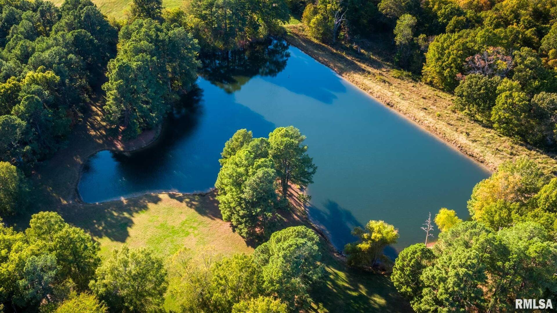 2145 Lick Creek Road Anna, IL 62906 - Photo 55 of 64