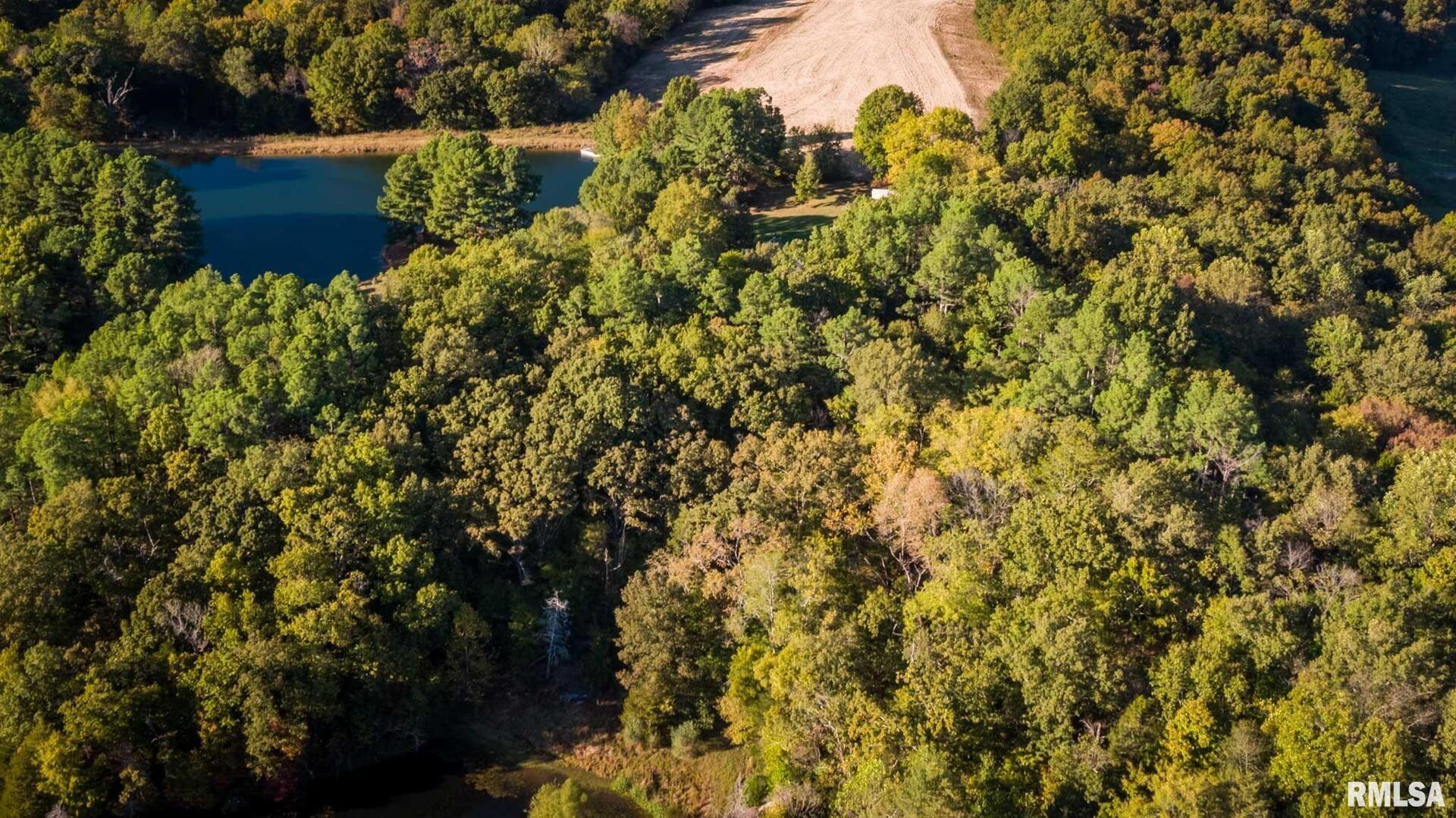 2145 Lick Creek Road Anna, IL 62906 - Photo 56 of 64