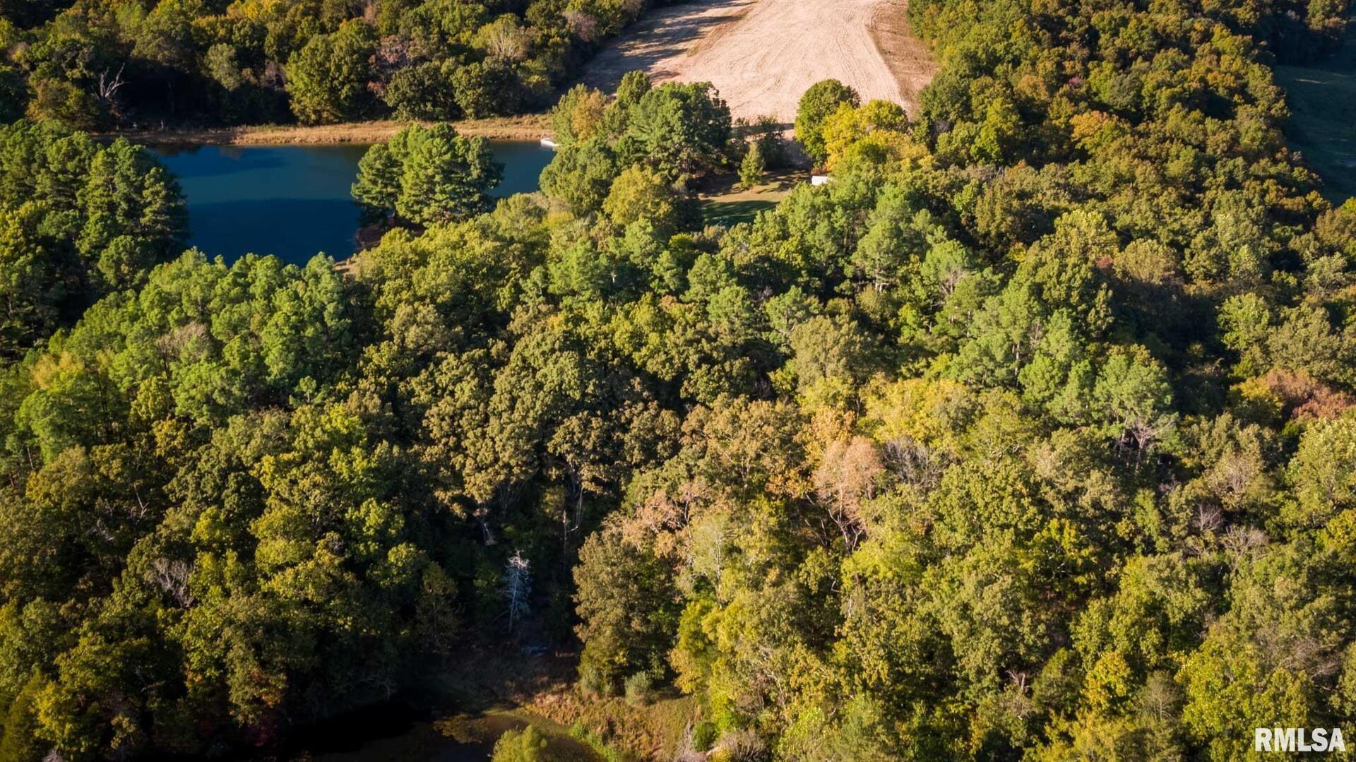 2145 Lick Creek Road Anna, IL 62906 - Photo 56 of 64