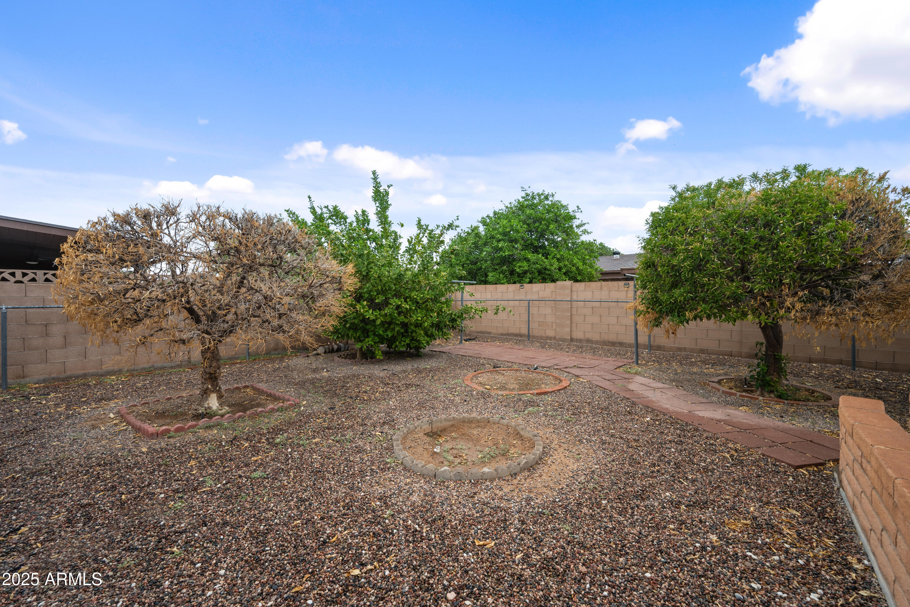 443 South Reseda Mesa, AZ 85206 - Photo 24 of 26 a backyard of a house with lots of green space