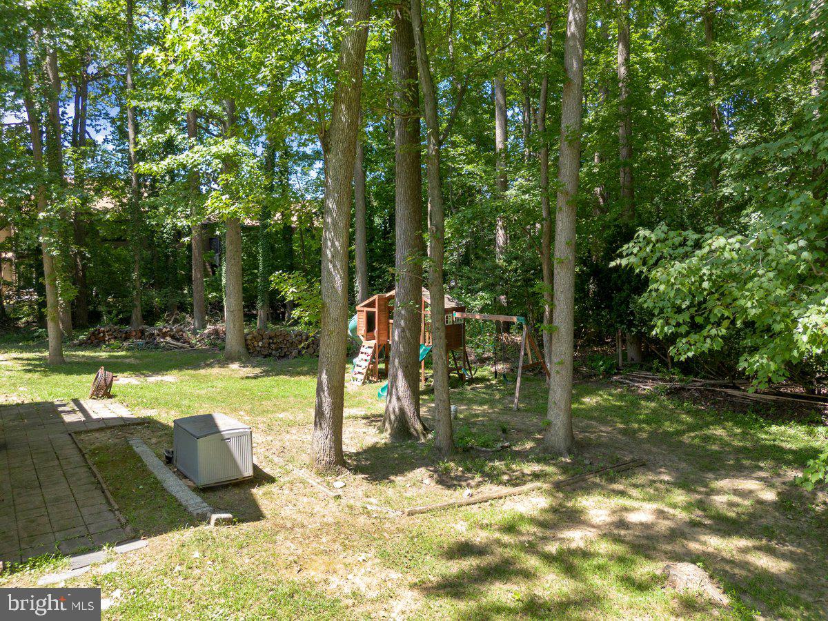 8275 Maple Avenue Pennsauken, NJ 08109 - Photo 34 of 43 a view of a park with large trees