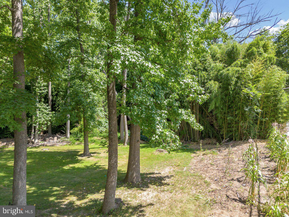 8275 Maple Avenue Pennsauken, NJ 08109 - Photo 41 of 43 a backyard of a house with lots of green space