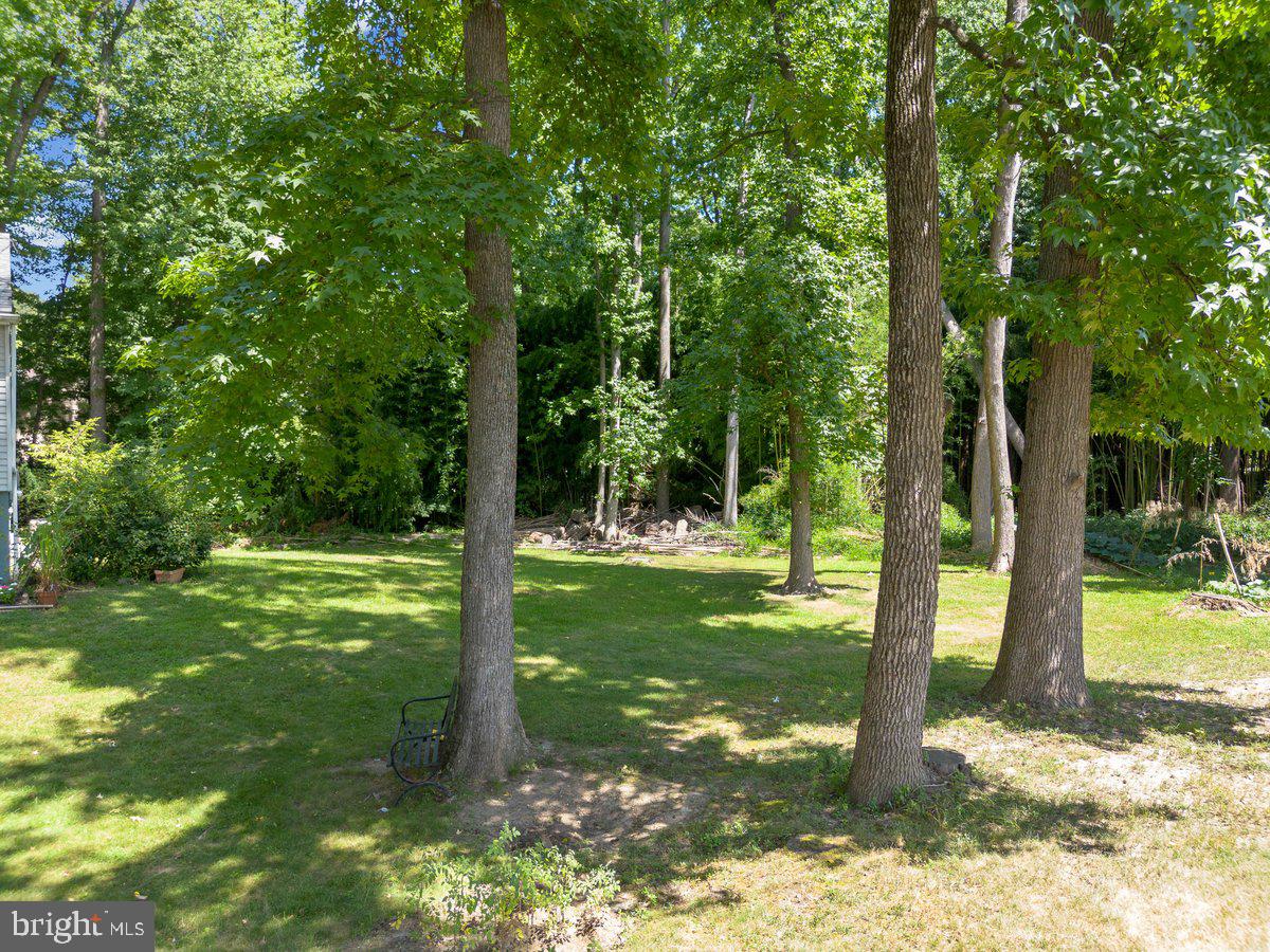 8275 Maple Avenue Pennsauken, NJ 08109 - Photo 42 of 43 a view of a trees in a yard