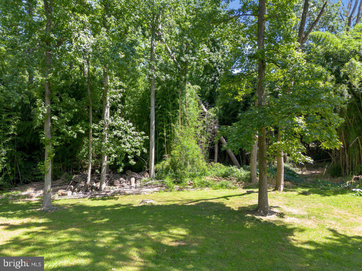 8275 Maple Avenue Pennsauken, NJ 08109 - Photo 43 of 43 a view of a park with large trees