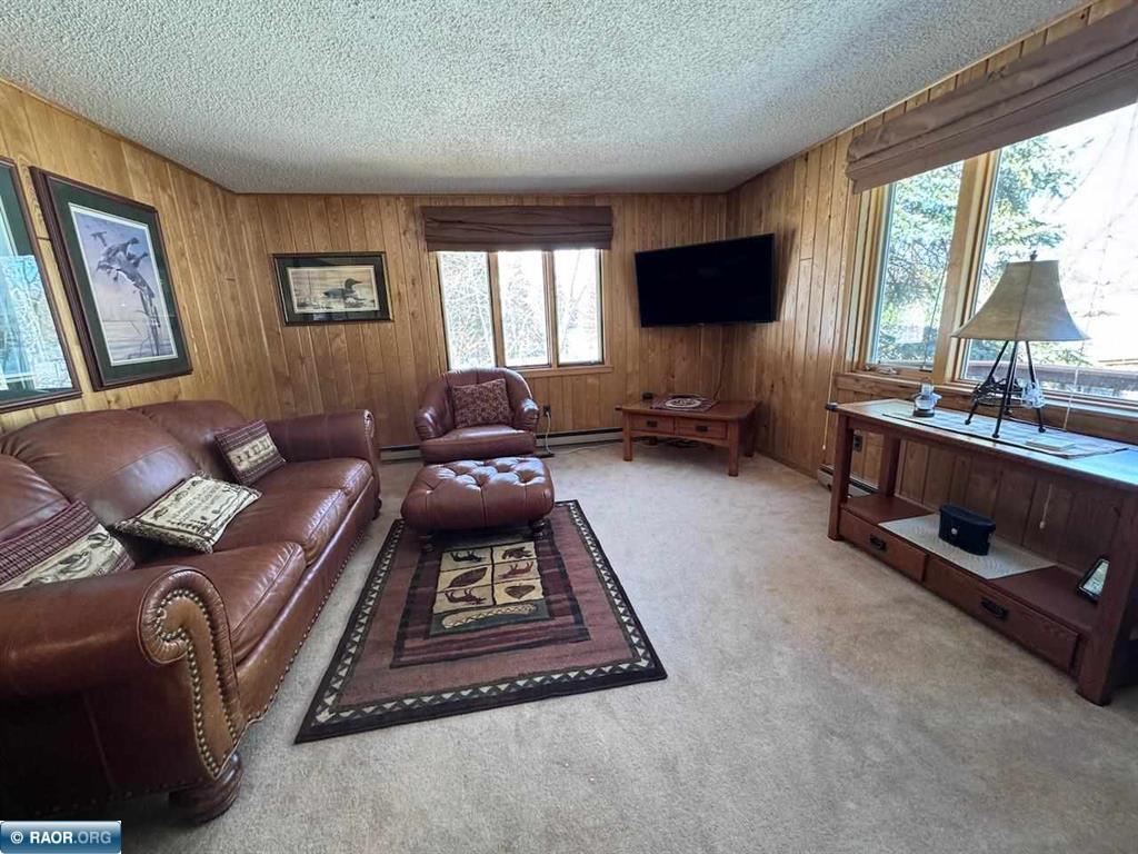 8519 Peterson Road Cook, MN 55723 - Photo 21 of 39