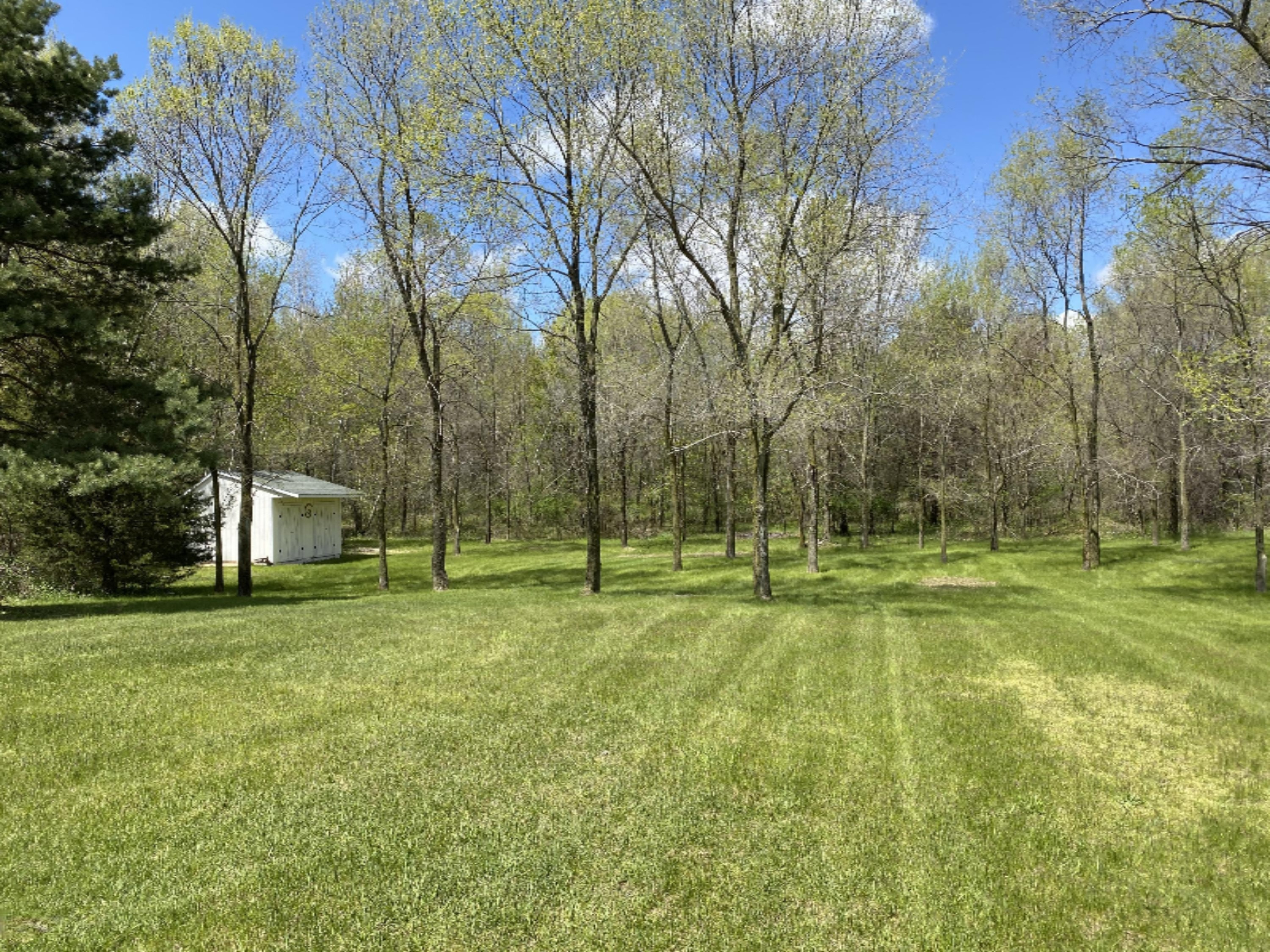 308 Jonesville Road Coldwater, MI 49036 - Photo 43 of 49 IMG_1909