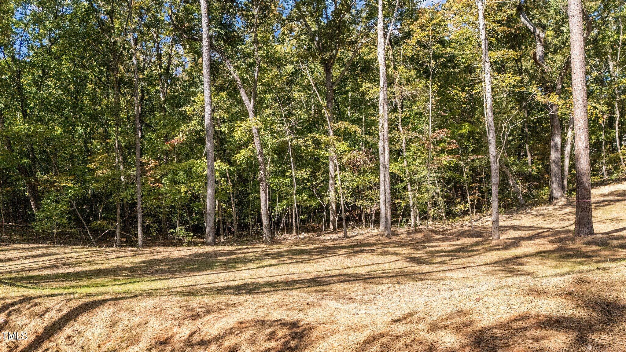 782 Jasmine Road Fuquay-Varina, NC 27526 - Photo 31 of 45 6-web-or-mls-DJI_20241018132059_0048_D
