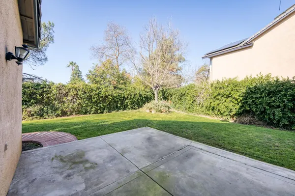 a view of a backyard with plants and large trees