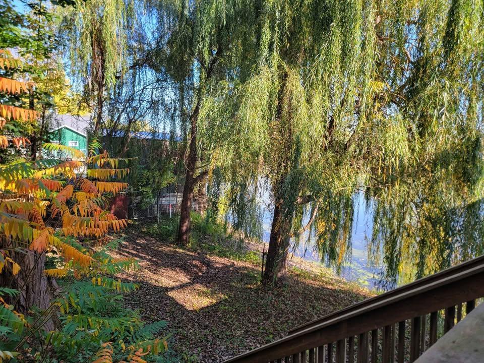 24764 Fish Pond Lane Winona, MN 55987 - Photo 5 of 17