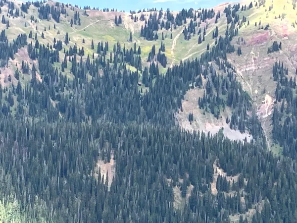 a view of a house in a forest
