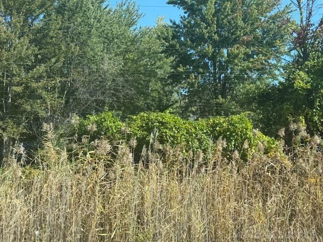 21 21 Mile Road Mount Clemens, MI 48043 - Photo 3 of 3
