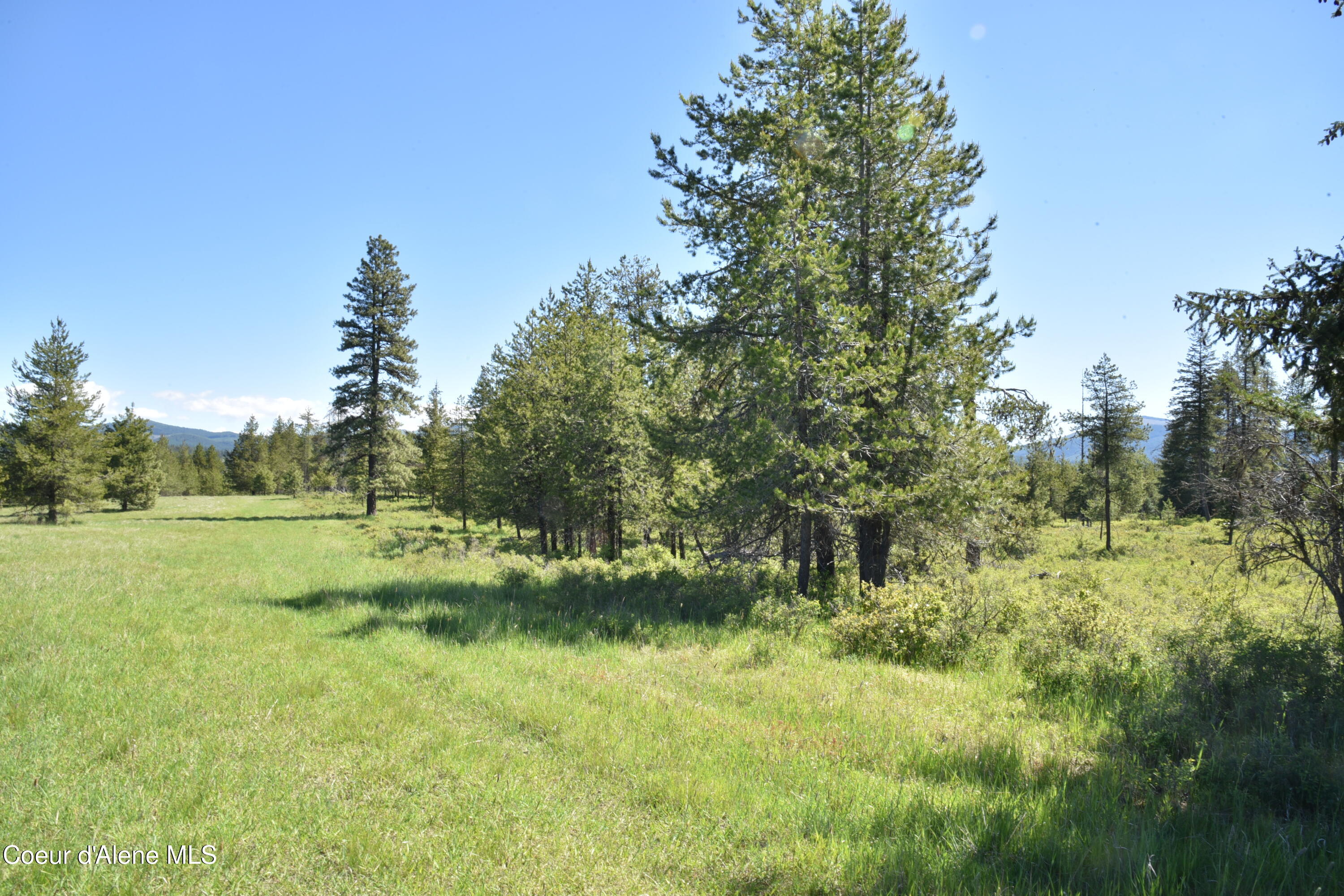 Nka Nka Tyson Creek Road St. Maries, ID 83861 - Photo 19 of 26 21