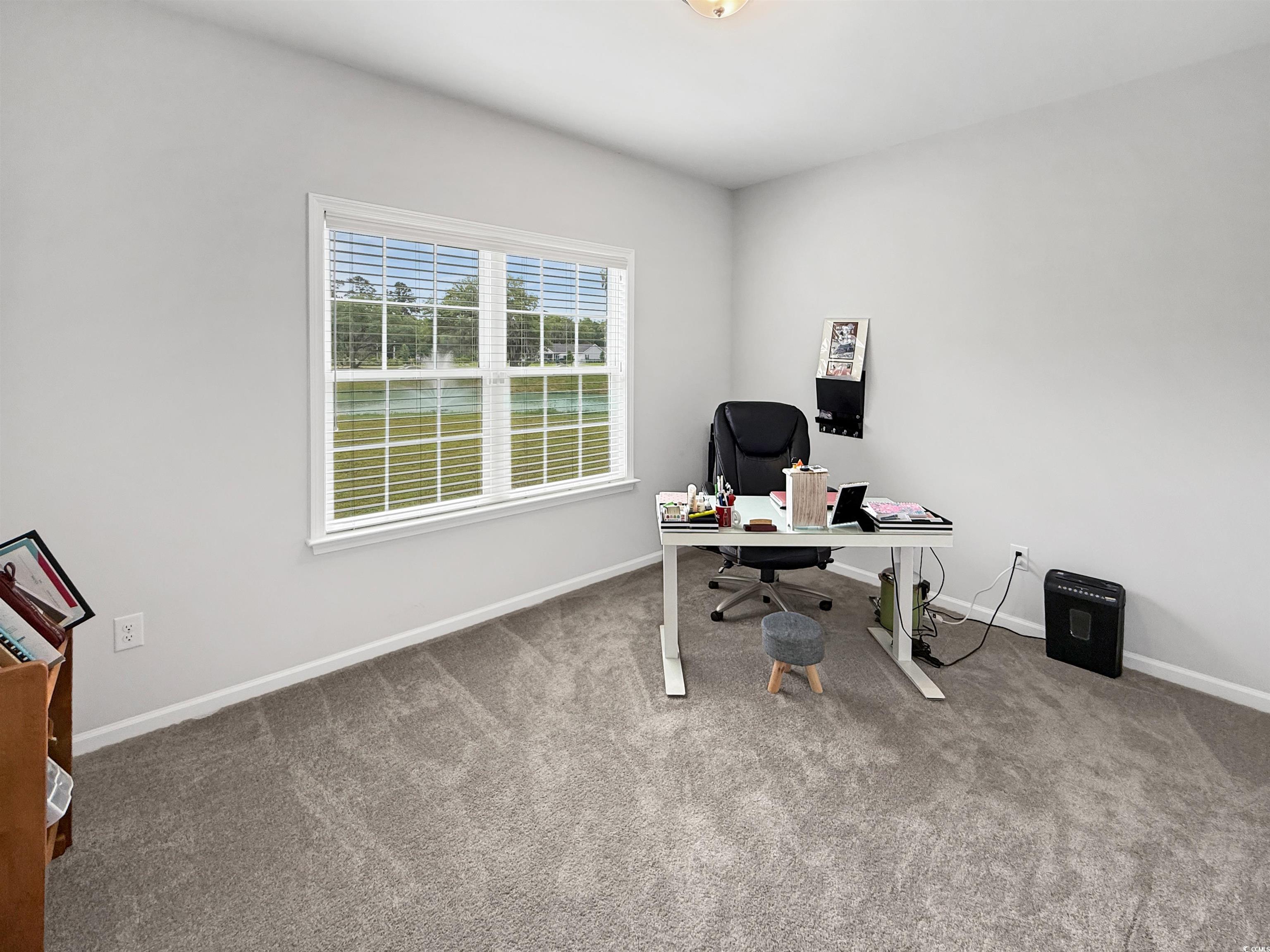 40 Little Peru Court Georgetown, SC 29440 - Photo 20 of 32 Office space featuring carpet floors and baseboards